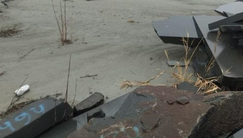 На Житомирщині викрили схему незаконного скиду відходів, що призвело до збитків на понад 2 мільйони