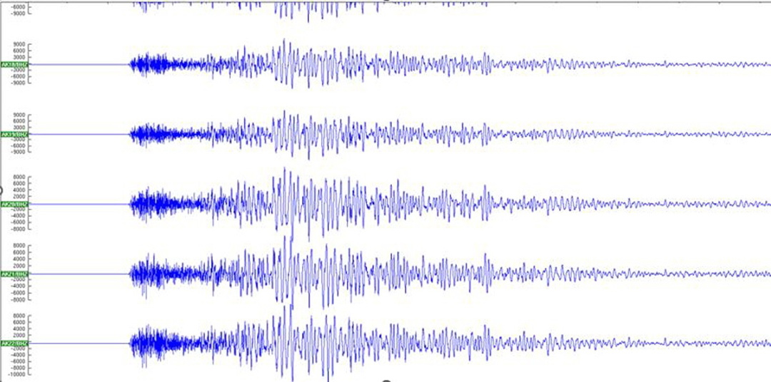 Сигналограма запису землетрусу в Туреччині 6 лютого