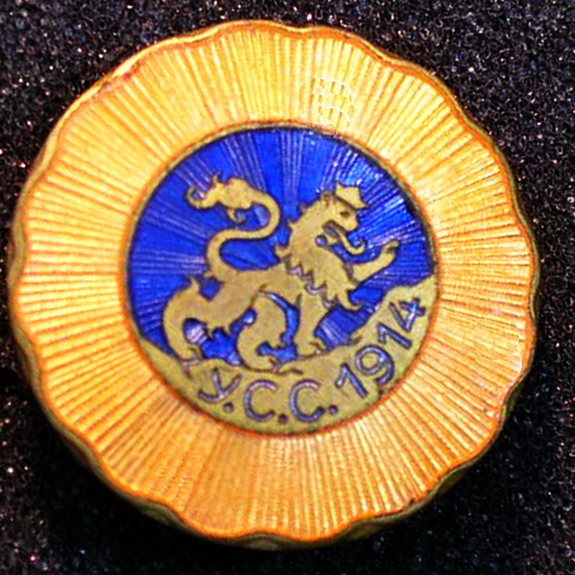 Синьо-жовта відзнака “УСС 1914”