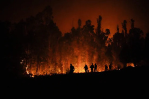 У Чилі кількість загиблих унаслідок лісових пожеж зросла до 22 