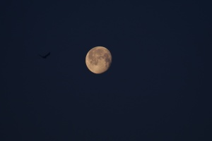 Ukrainian polar researchers show full Moon in Antarctica 