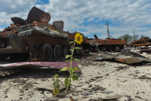 Росія завдала довкіллю Україні збитків на 6,9 трильйона гривень