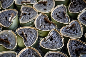 Чеські скаути виготовили для України рекордну кількість окопних свічок