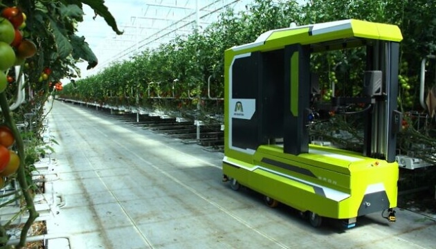 В Ізраїлі розробили робота зі штучним інтелектом для збирання тепличних помідорів