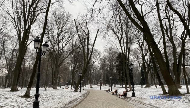 У Києві вже «оцифрували» понад 200 тисяч дерев
