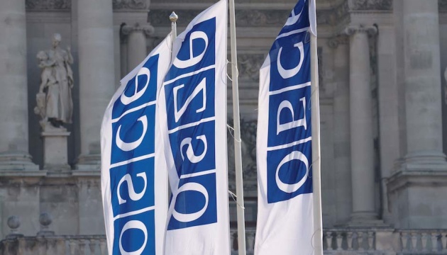 Ukrainian delegation to boycott OSCE meeting due to participation of Russians