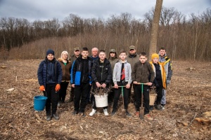 На Прикарпатті почали висаджувати нові ліси