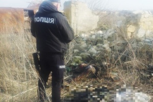 На Харківщині виявили тіла ще двох загиблих унаслідок російської агресії