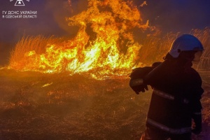 В Одесі сталася масштабна пожежа в екосистемі