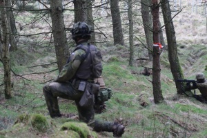Швеція готує українських військових до бойових дій у лісистій місцевості