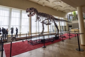 У Швейцарії пустять з молотка скелет тиранозавра