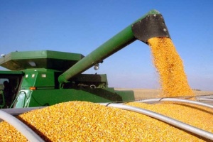 Україна вже експортувала понад 37,6 мільйона тонн зернових та зернобобових