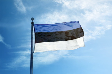 Estland schickt in die Ukraine Waffen und Munition