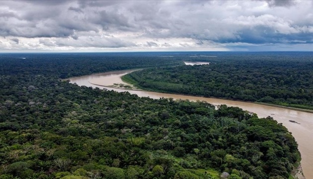 У бразильській Амазонії зафіксували рекордну вирубку лісів