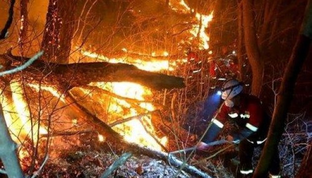 У Південній Кореї згоріли понад 900 тисяч гектарів лісу, є загиблий