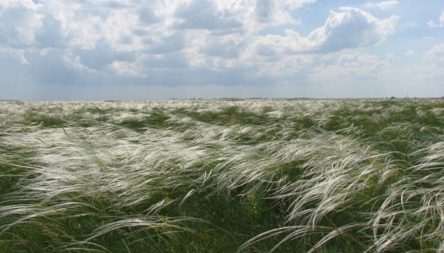 Naturschutzgebiet Askanija Nowa unter Kontrolle der Invasoren