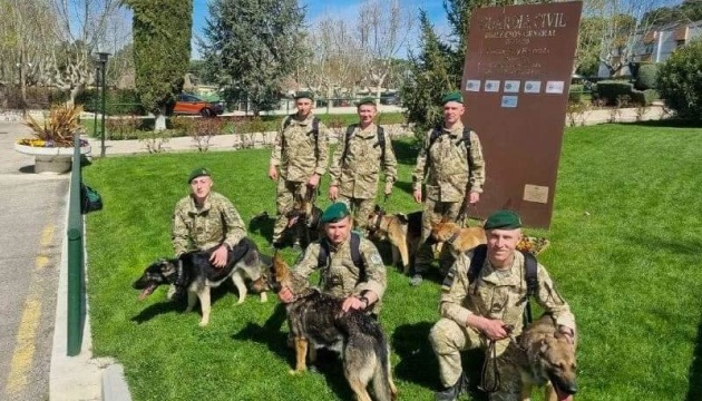 Adiestradores ucranianos de perros reciben en España un curso especial para detectar explosivos y armas  