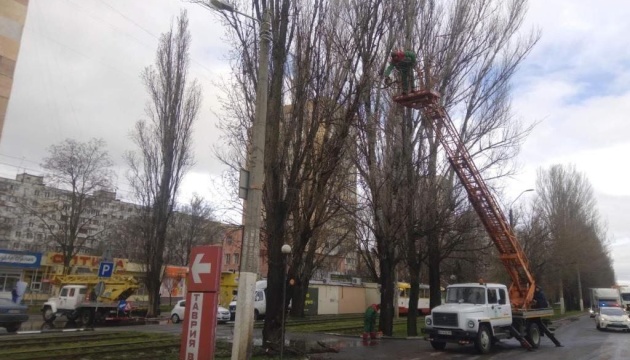 В Одесі сильний вітер повалив та пошкодив понад 100 дерев