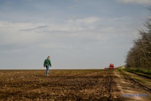 До земельного кадастру торік внесли понад 128 тисяч ділянок