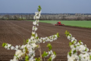 На Вінниччині посіяли 48% площ ярих зернових та зернобобових культур
