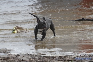 Рух транспорту на трасі Київ - Харків - Довжанський закритий через підтоплення