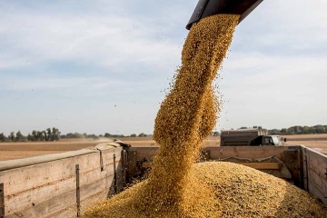 Polonia suspende las importaciones de cereales de Ucrania al menos hasta julio