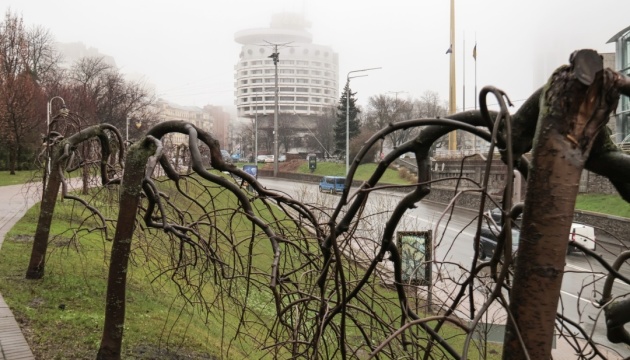 У Києві на лівому березі зафіксували високий рівень забрудненості повітря