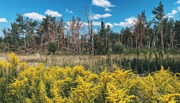 Збитки від російських злочинів проти довкілля Луганщини перевищили  ₴475 мільярди