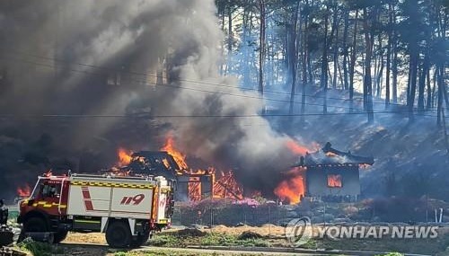 У Південній Кореї - лісова пожежа: знищені до 100 будинків, людей евакуйовують