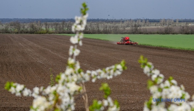 В Україні вже посіяли понад 3,5 мільйона гектарів зернових