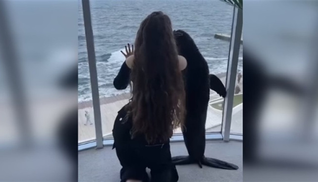 В Одесі блогери влаштували у готелі відеозйомку з морськими котиками