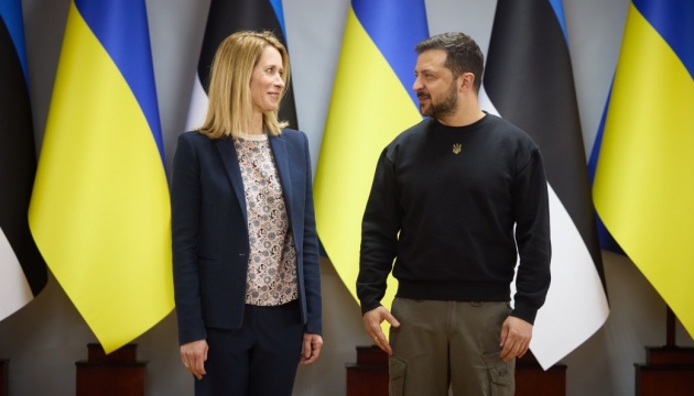 Zelensky: Estonia is first country to start practical restoration of Ukraine 