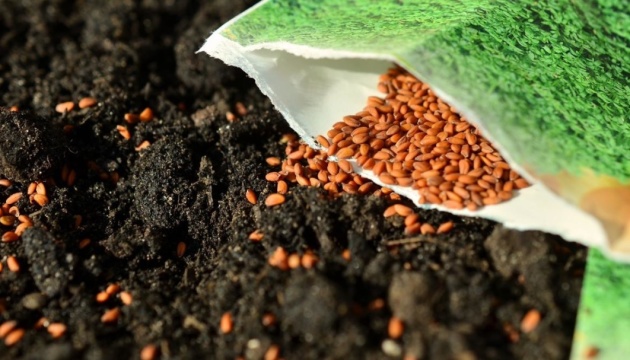 Over 40,000 Ukrainian households to receive vegetable seeds through USAID