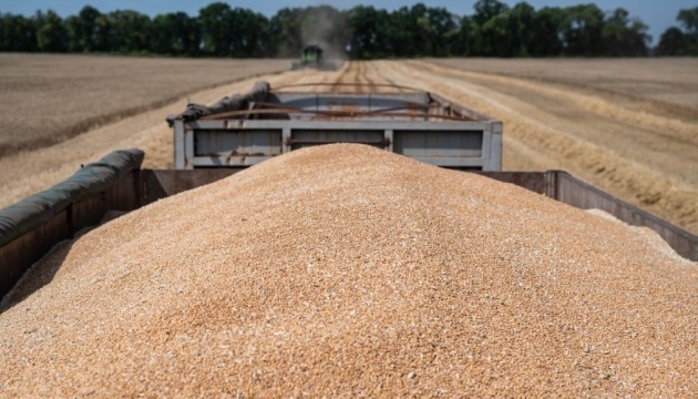 Das Problem mit ukrainischen Agroexporten ist fast gelöst, aber Fragen bleiben