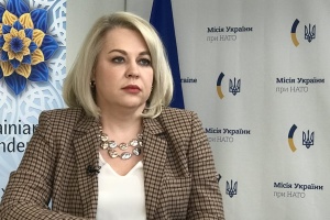 Структура і робочий план Ради Україна-НАТО мають бути створені до кінця року - посол Галібаренко