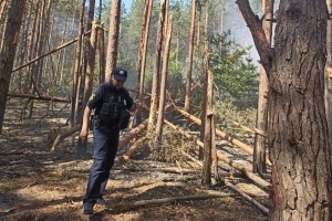 На Київщині внаслідок ракетних ударів горіли трав'яний настил і лісові зони