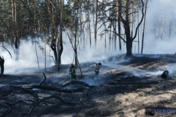 Forest litter burns in Kyiv region due to falling drone debris