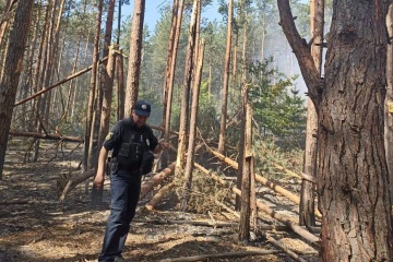 Grass floor, forest areas burned in Kyiv region as result of missile strikes