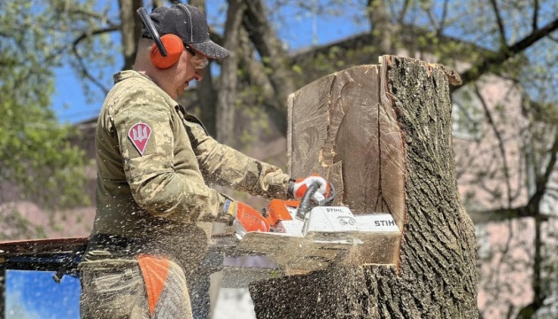 У Житомирі ветеран 95-ї бригади вирізав з дерева скульптуру, присвячену побратимам 