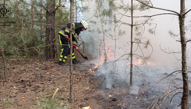 На Київщині масштабна лісова пожежа – горять 15 гектарів