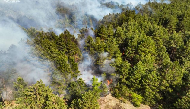На Київщині рятувальники локалізували лісову пожежу 