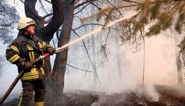 На Київщині ліквідували масштабну лісову пожежу