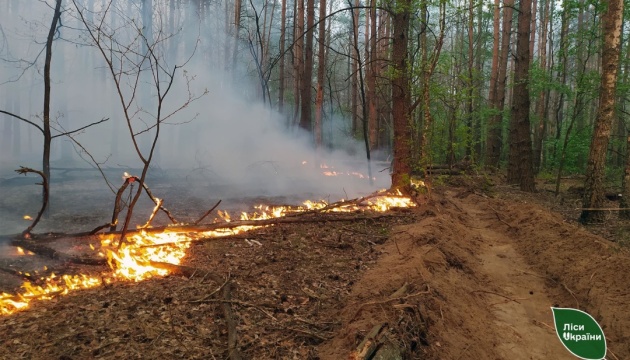 На Чернігівщині через обстріли - масштабні лісові пожежі