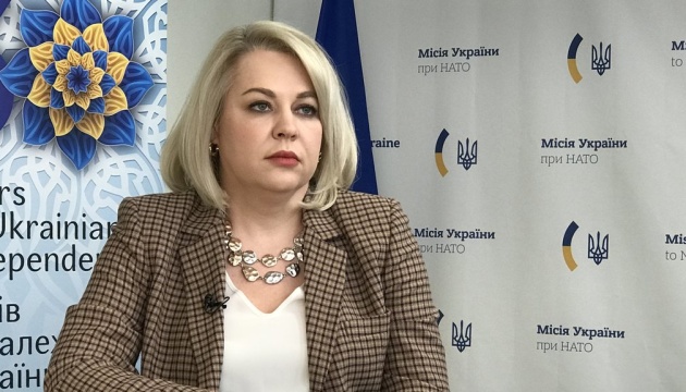 Структура і робочий план Ради Україна-НАТО мають бути створені до кінця року - посол Галібаренко