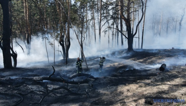 Forest litter burns in Kyiv region due to falling drone debris