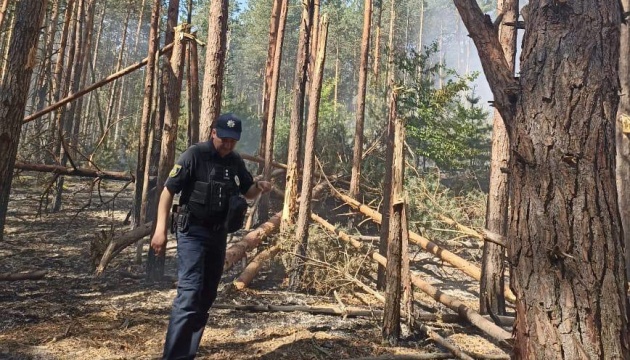 Grass floor, forest areas burned in Kyiv region as result of missile strikes