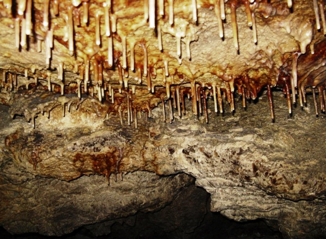 Печера Вертеба, селл Більче-Золоте Тернопільської області