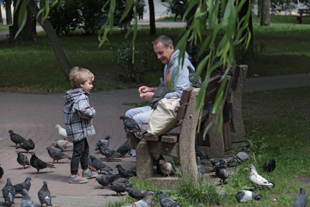 Чоловік та хлопчик годують голубів у сквері Літераторів (донедавна - сквер Чкалова), Київ, 13 червня 2023 року