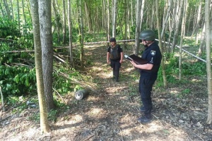 У лісі на Київщині знайшли нерозірвану бойову частину «шахеда»