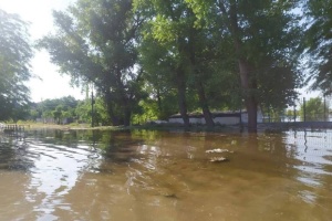 Як через підрив Каховської ГЕС підтоплює Антонівку